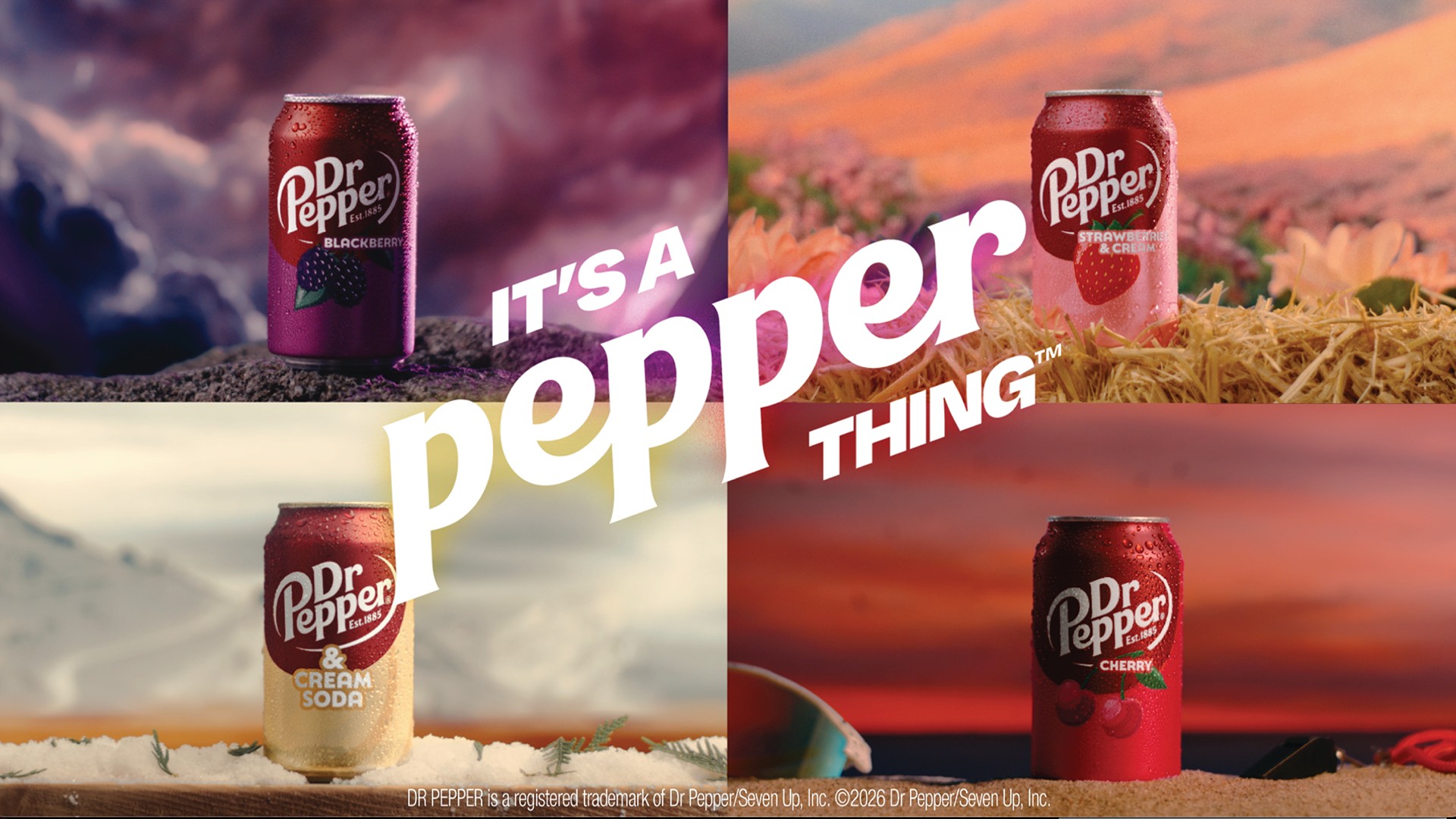 Dr.Pepper Cherry（Miyukiさん専用です） Amazon.com : DR PEPPER Cherry, 20 Fl Oz,Black,DPSUSC800081294